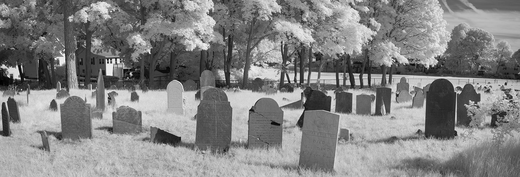 Infrared Photographic Panorama of Old Cemetery.